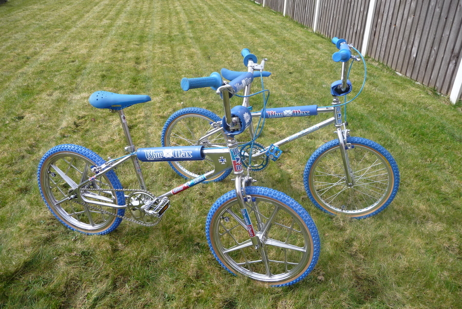 blue max mongoose